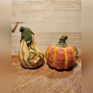 Pumpkin and Gourd Salt and Pepper Shakers Hand Painted